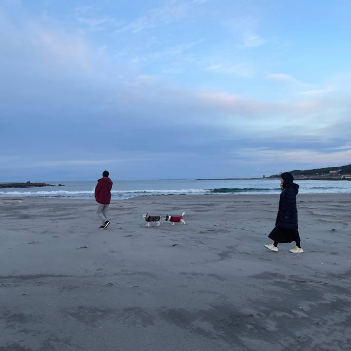 78f1d800 5fc1 4204 9b28 ae8b424ae4b0 1705221883187