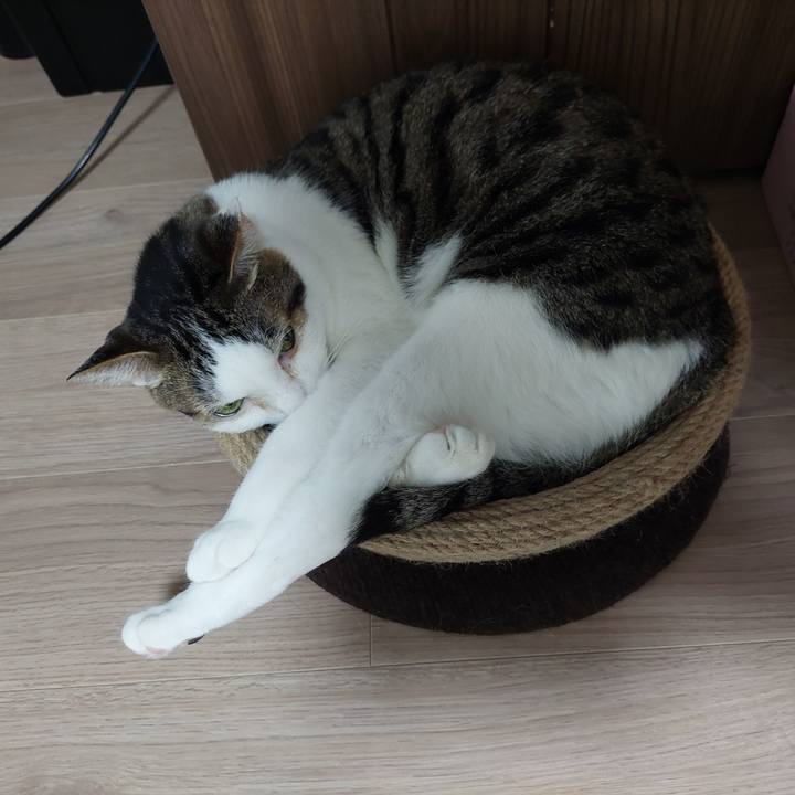 78f1f87f 3431 4d5c a3c3 1212d83aad43 1624311472488