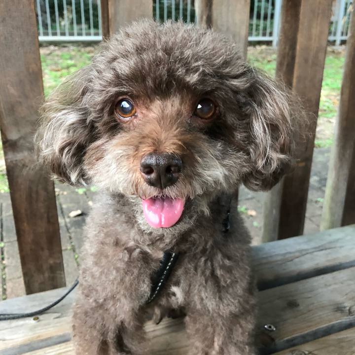 78f21542 b746 48b9 8369 34ffd957968d 1539863162383