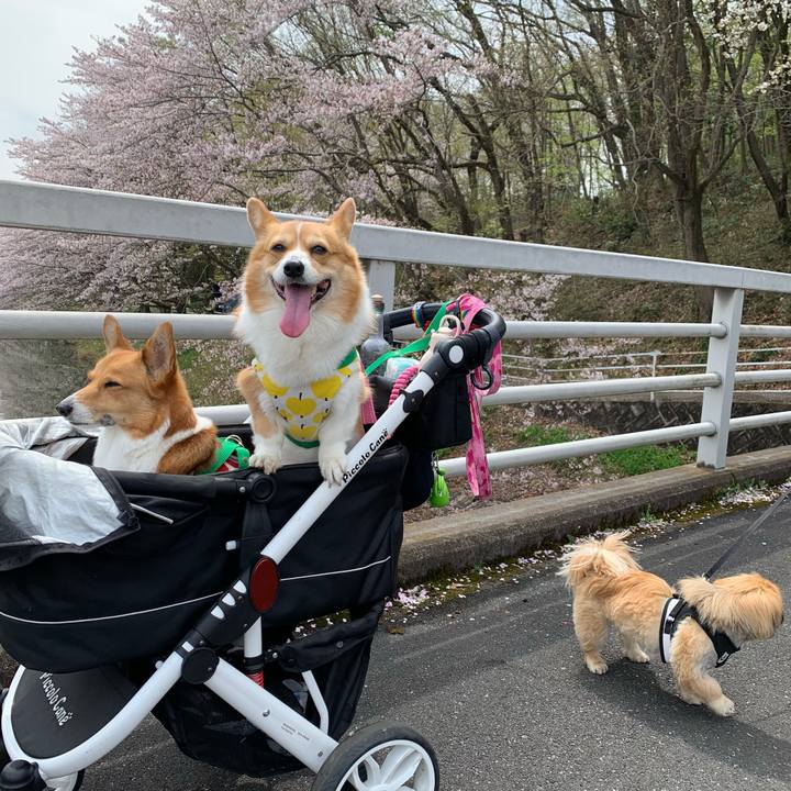 78f245e8 13da 4ee5 9957 13ada05538ee 1617077795430