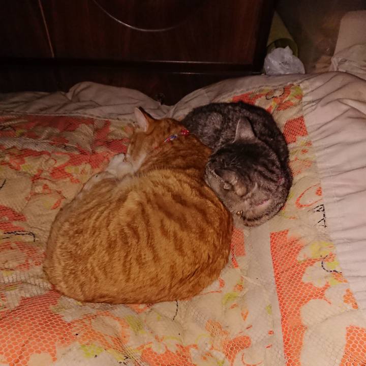 78f25403 2b51 40a2 a1dc 4b5c688dddbe 1578409640345