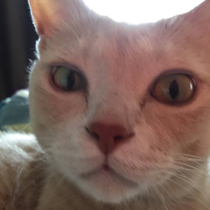 78f25887 50d7 42c3 99a8 13baa98a9229 1569895786348