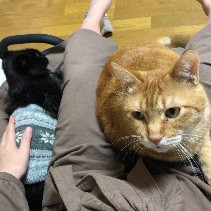 78f270e6 cf8f 46d1 8f49 96cc76b07e2d 1603621013815