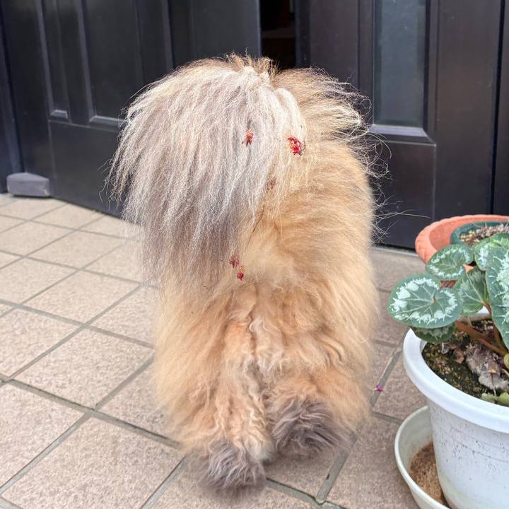 78f2f68c 80e4 4be6 8637 37aab6cf662f 1774581498004