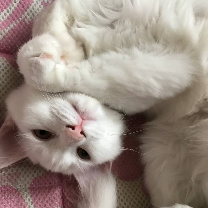 78f320c8 8fe9 4052 97e0 17f4d716ca1f 1509496977561