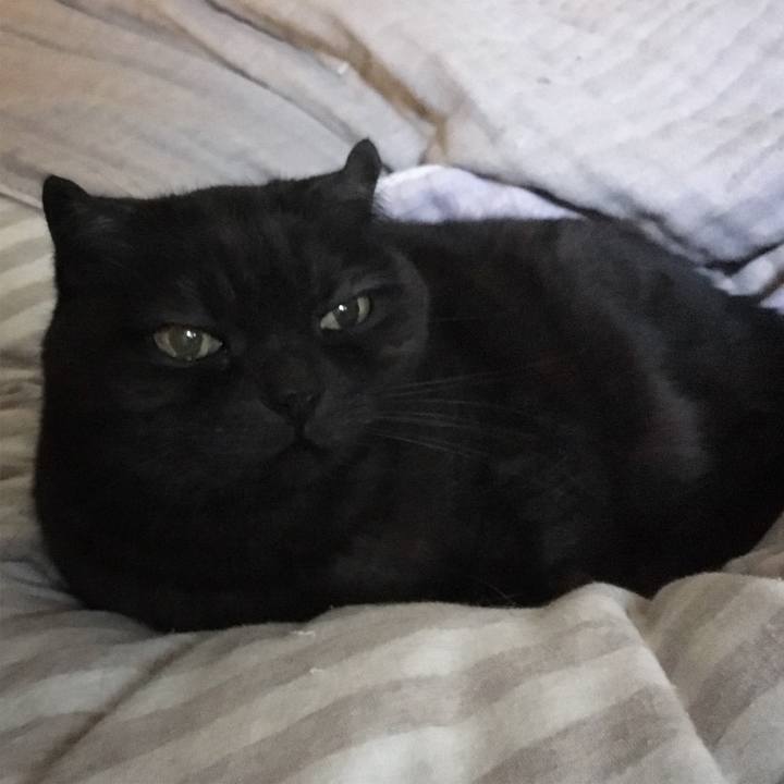 78f32dcf abb6 47c0 8aef cc1892a8e39f 1548225514960