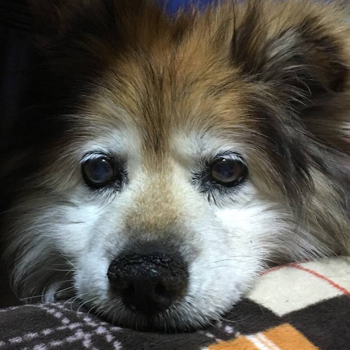 78f36155 a071 4a65 933e 05dce389c56d 1606125166858