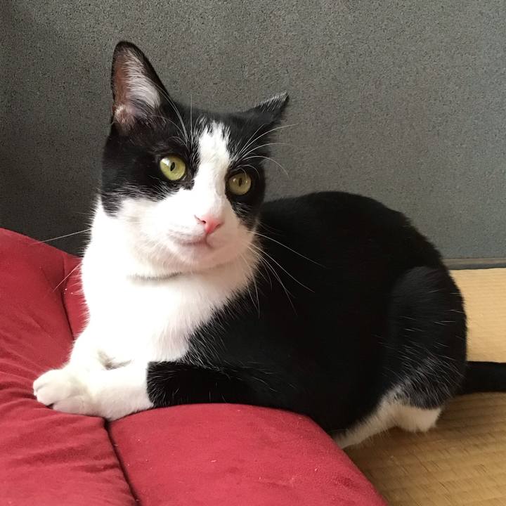 78f3821c 0f0d 4fb9 ace4 245ab257862a 1690196507462