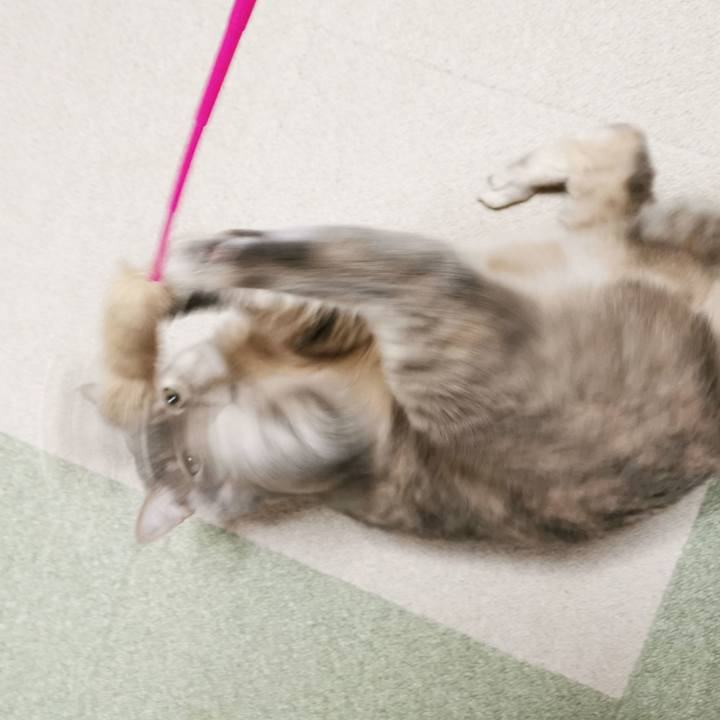 78f39cd2 9a00 474b ab11 4b1c22f15110 1676264253179