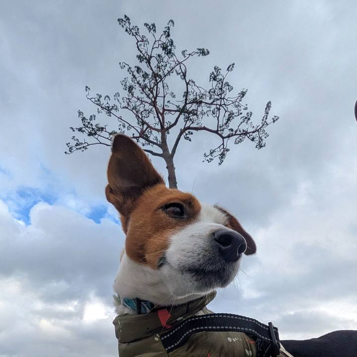 78f3a47e 3251 4d9b 9ecb 29e660c86edb 1733900797588