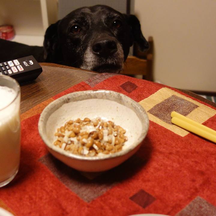 78f3f5c5 fd2b 4b69 bb39 30e3413b36c7 1734049396625