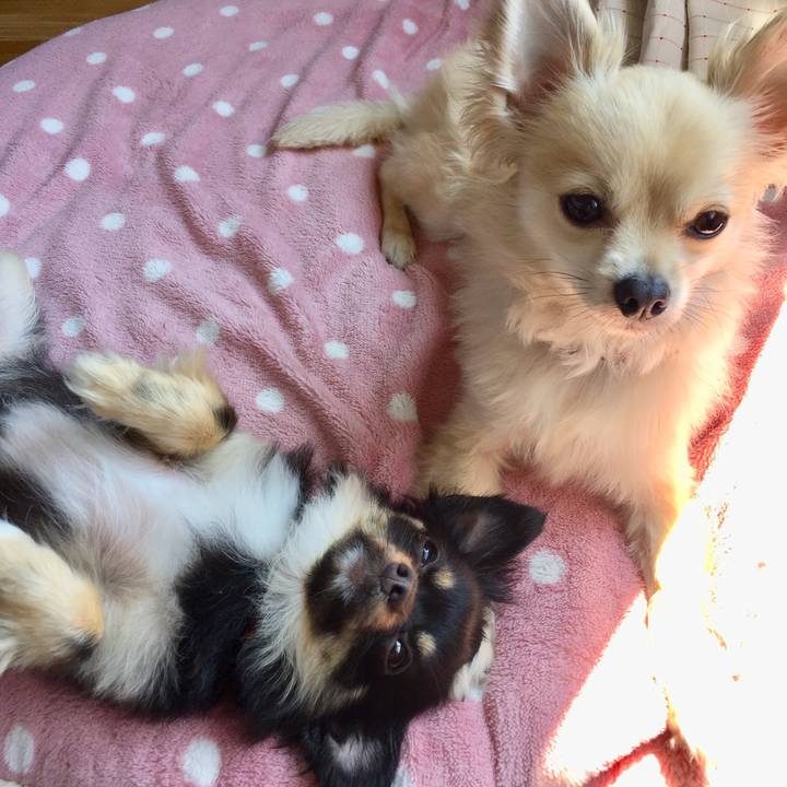 78f44e18 0c8b 4bd8 8c72 eec007e952b5 1527899472185