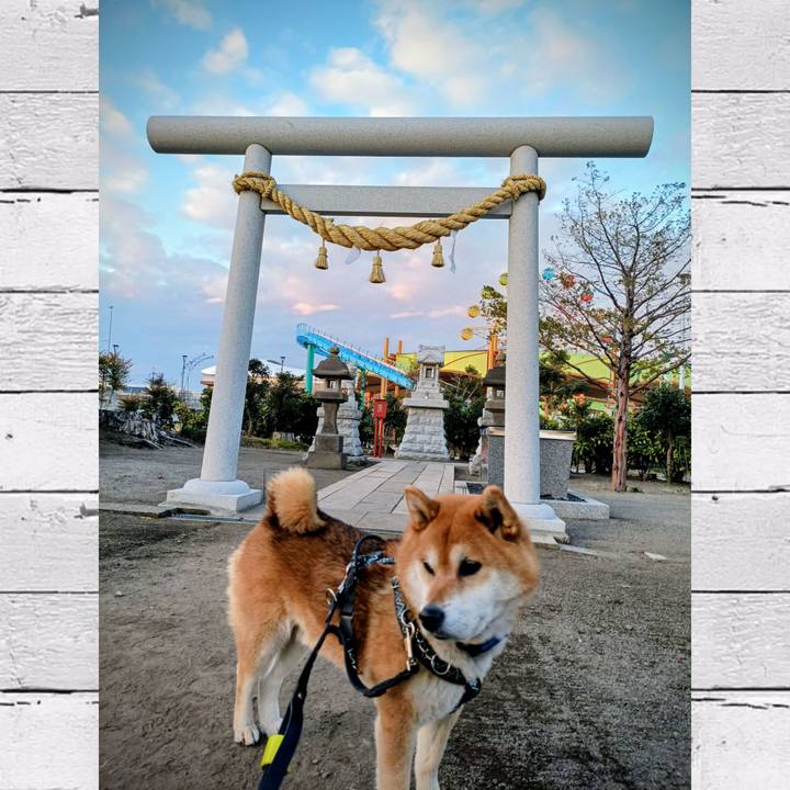 78f46099 4cb3 4183 bf54 11f946ad17be 1763733901544