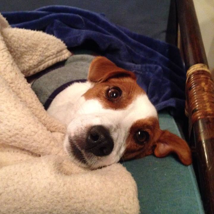 78f49ddb 7bc0 4c19 9594 e3edd64ee3db 1519026932469