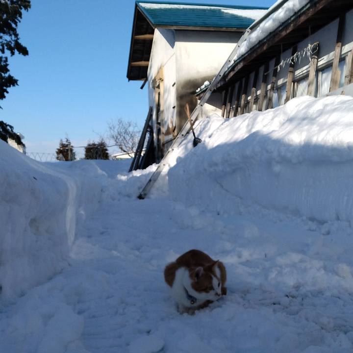 78f4fea7 cfe0 4a0b b52f f95ad241ca73 1739574967226