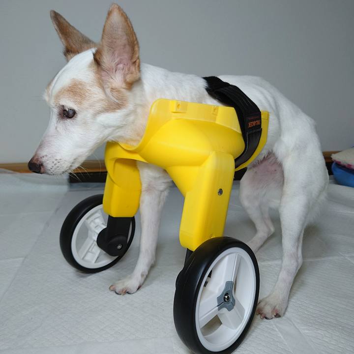 78f5325b 0981 408e 8d92 a7ea45dcae9d 1759233104245