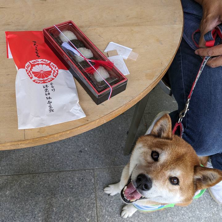 78f55107 ccb0 43f8 9799 e7f3f7df608e 1716761163221