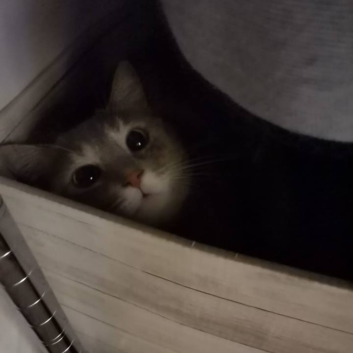 78f55d46 0b3d 4ab2 bf2c 65acf833f28c 1599868590572