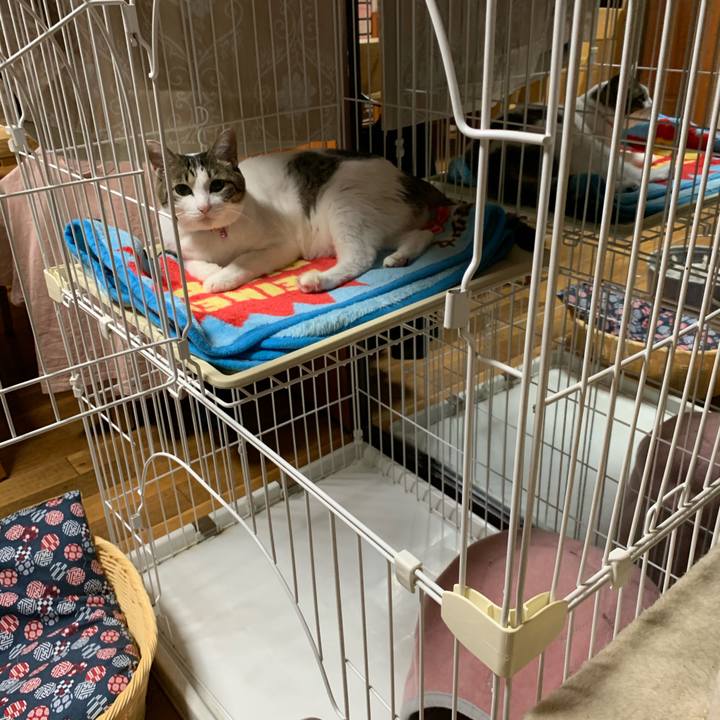 78f5686b 518a 432a b8ef 90bdc52fe0b1 1599652474814