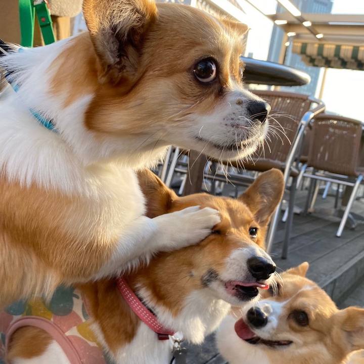 78f5801d 17b0 48ed bbda 588611ecfddd 1580968246838