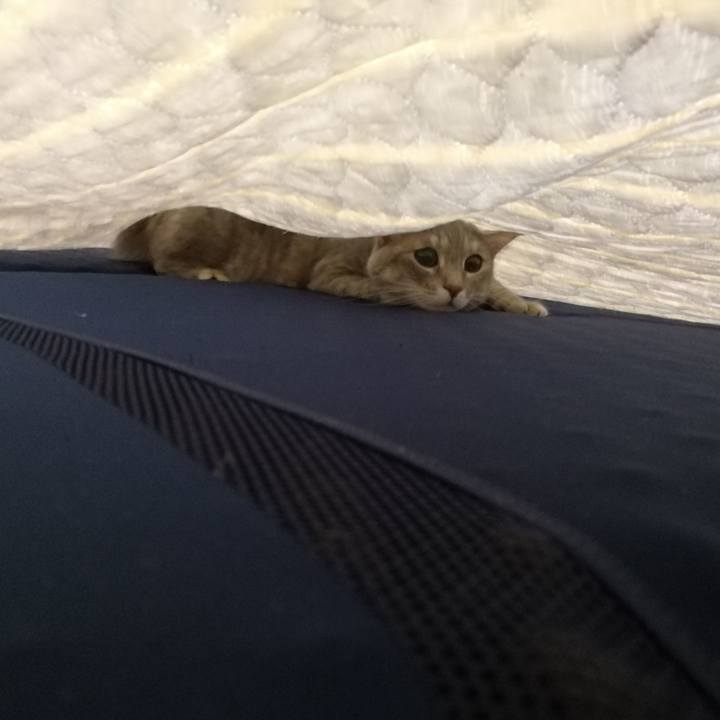 78f58ceb 342f 4659 bf8d e5e45f591aac 1556023562540