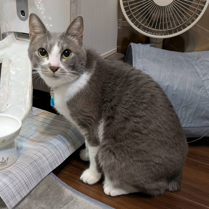 78f59275 e7df 450d 9a4a 3e47001ff969 1736164262788