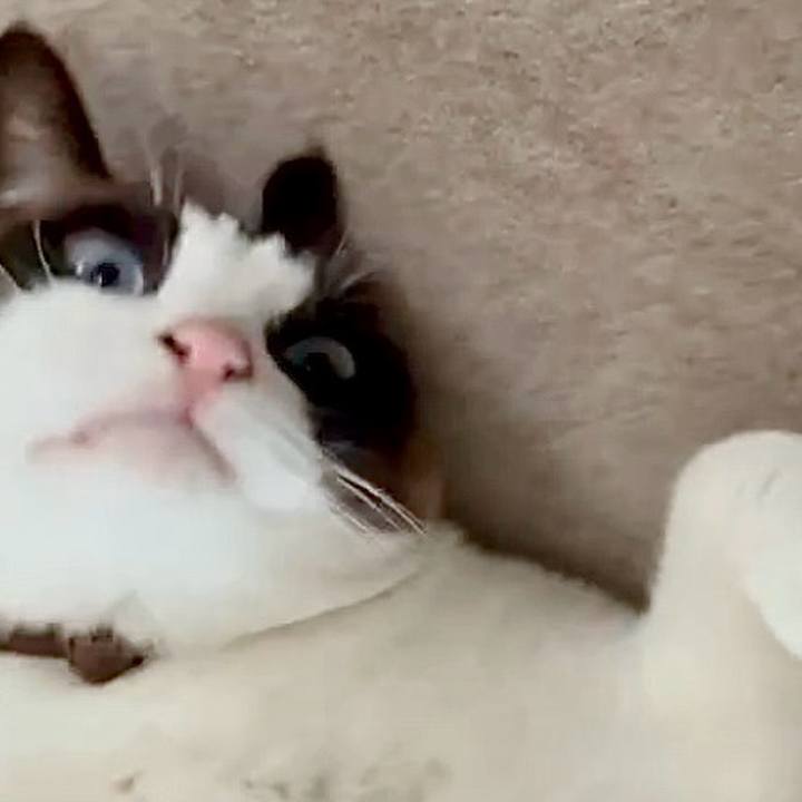 78f59ba1 3a55 4bf9 8c7e cab32e99bd14 1748137313376