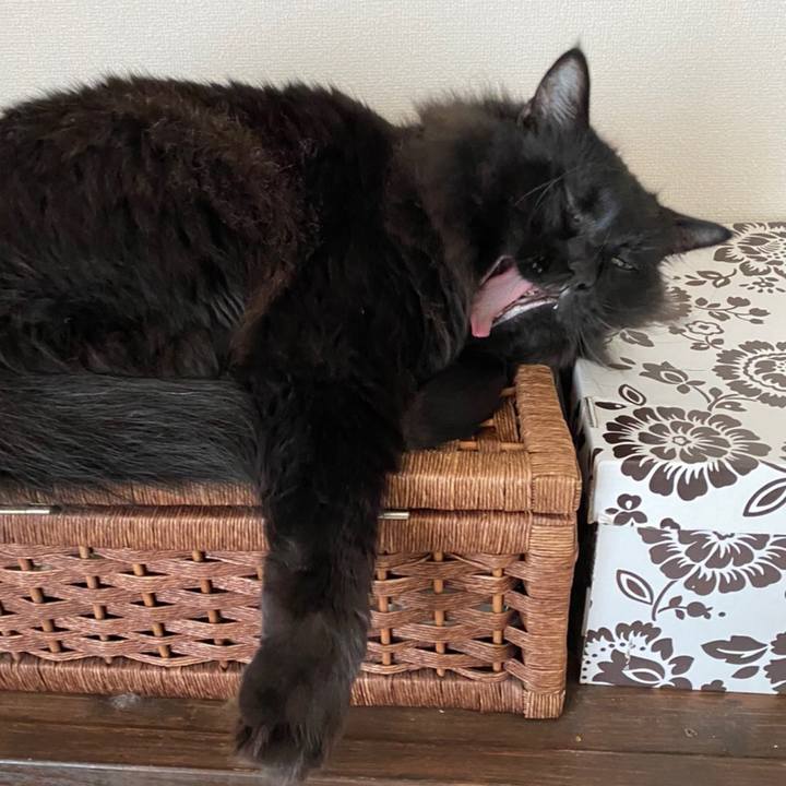 78f5c404 f300 463e be2d ff5e09b14cee 1576713789153