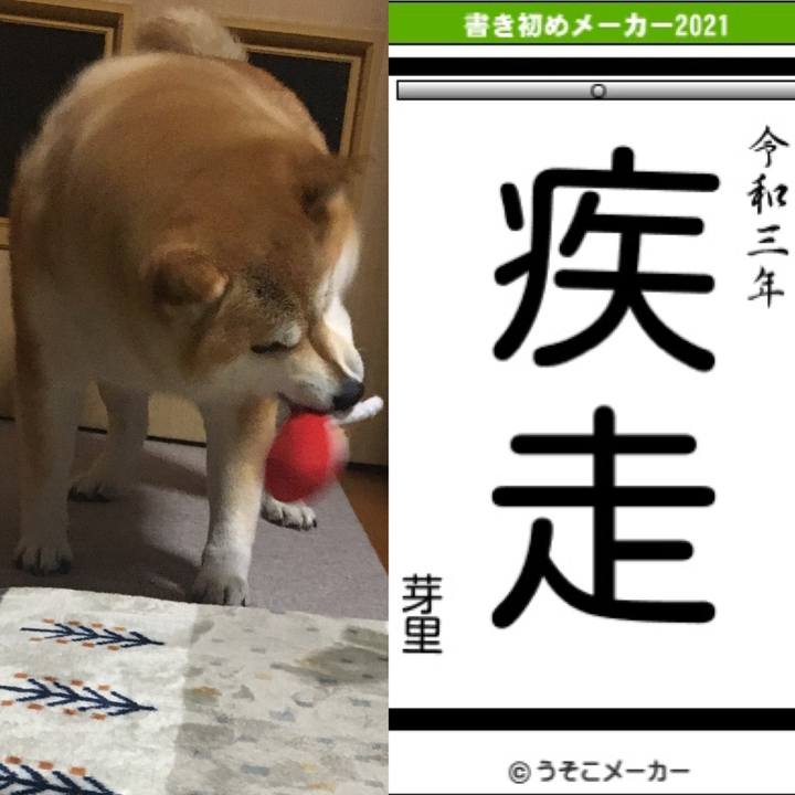 78f5c5e2 f032 4aa2 96cb 435516f7a2ab 1609464635516