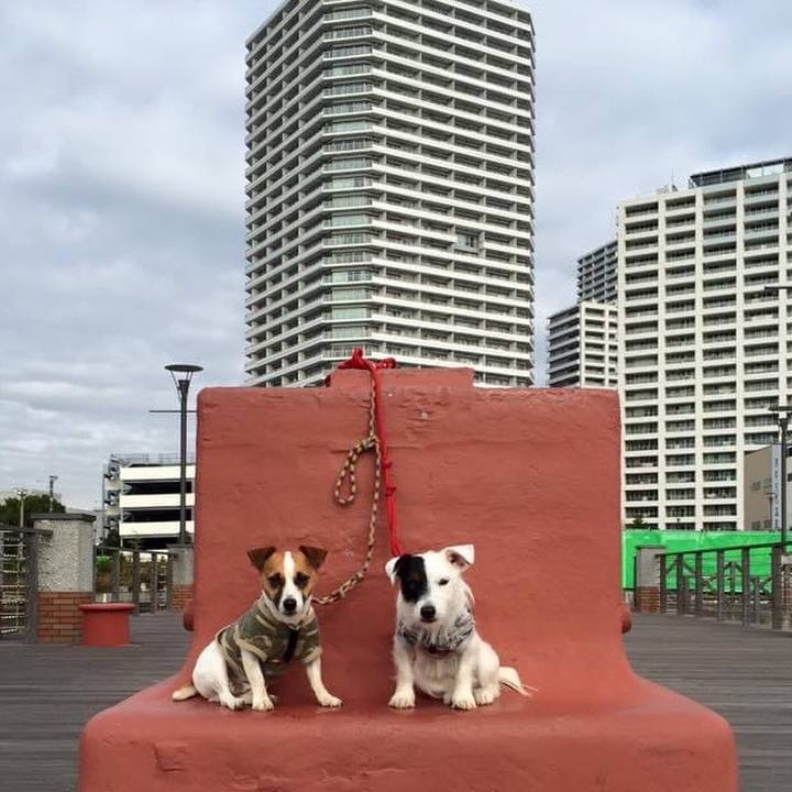 78f5ca77 2bb6 42bf 9969 cf26df58690e 1605223968474