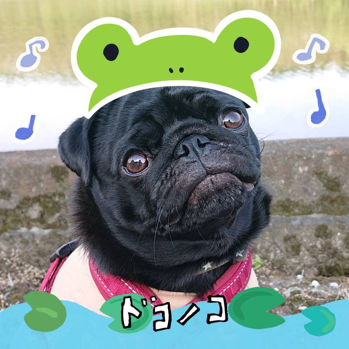 78f5f82f 68ae 4a53 a691 fba1505c3fff 1717983398232