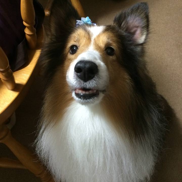 78f61115 4962 4f19 b9b9 d2bf467cf020 1599902994453