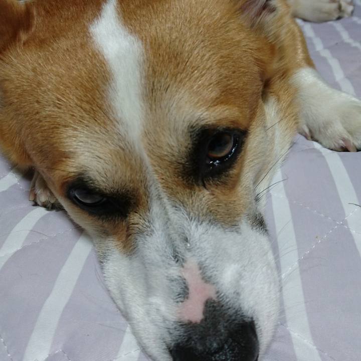 78f64442 5548 4333 a913 5e1c7ba38b15 1592806317113