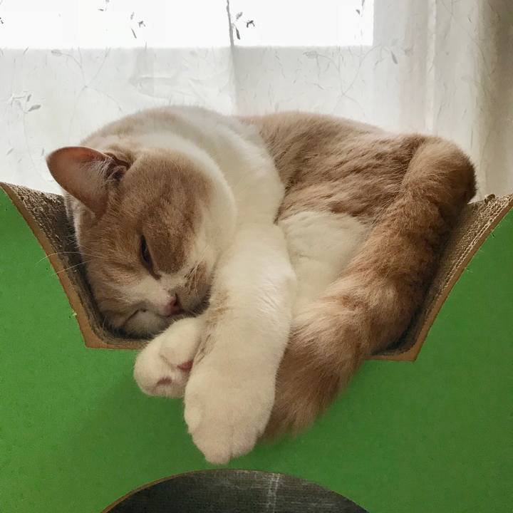 78f64581 99a7 4444 96ba 472b4ab69ea4 1511146841340