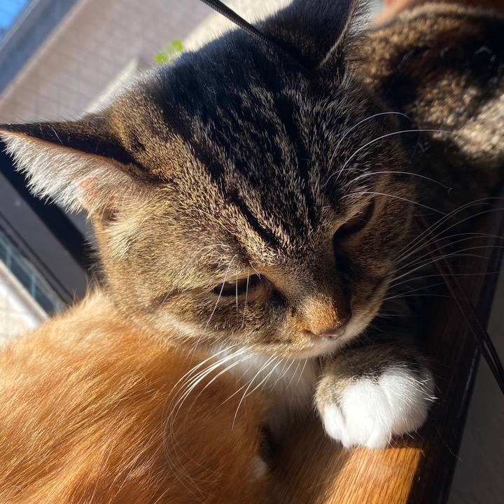 78f656a8 f13f 40ff a634 15061ecd947a 1587607485689