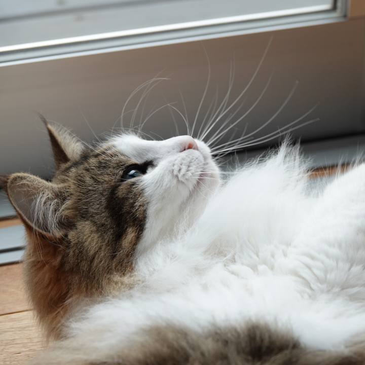 78f693b2 0caf 4241 b2d8 210df6973c8d 1560077347944