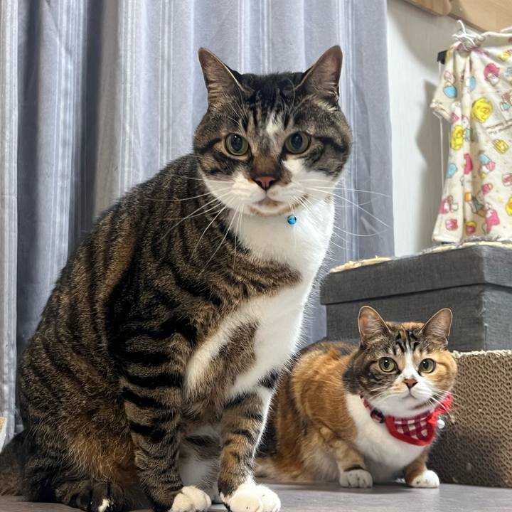 78f6aab7 ecc7 4bfb 9a1f 7d60e516b139 1767086947506