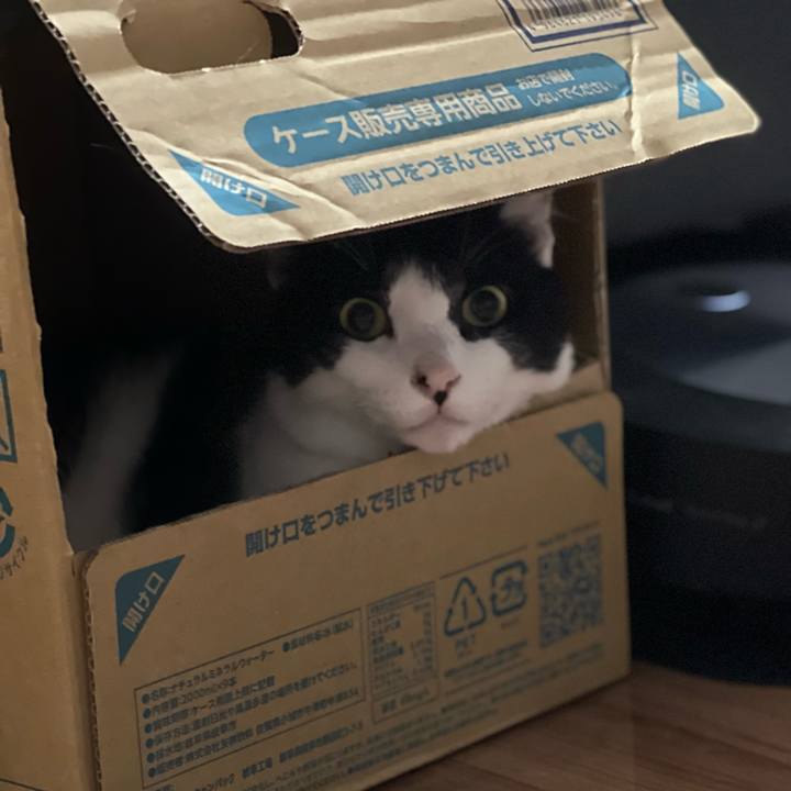 78f6ac26 3147 4df2 95bd 3e4dd92937b9 1665582968543