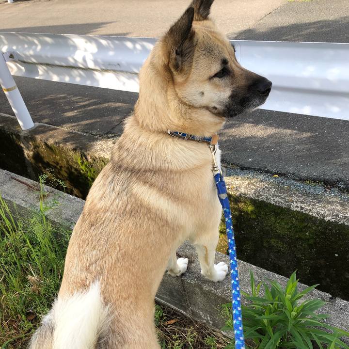 78f6cf86 6b96 4cba b75d aea023da231d 1524735378418