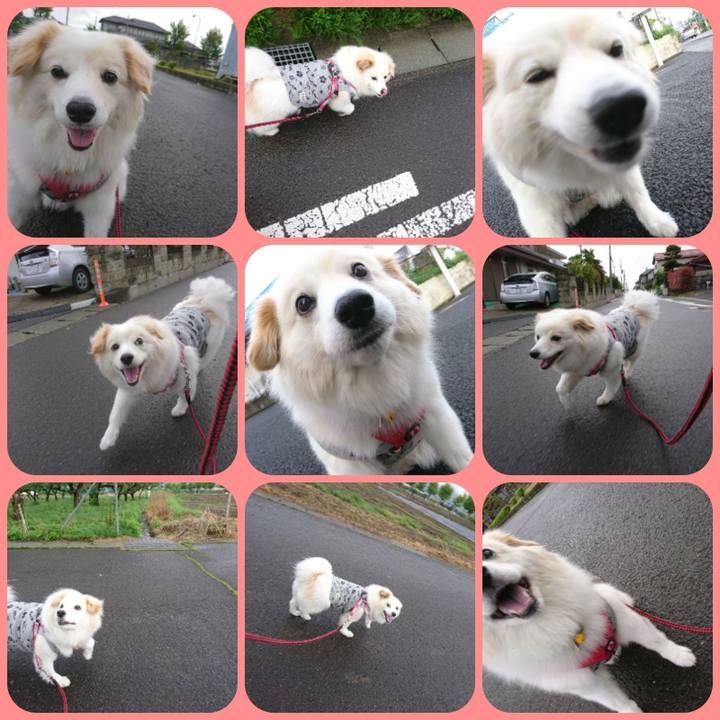 78f6e885 f9b1 469e 9f0e 3cebee9c5562 1525902712471