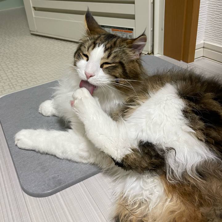 78f6f60d 9666 4662 af1e 2708c3978938 1642451853128