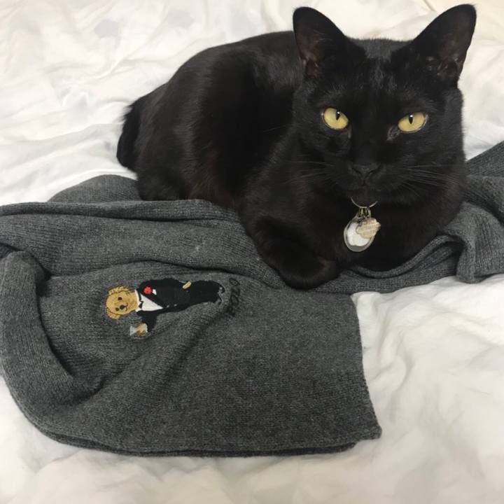 78f7202c af6d 4181 9d04 7288fd5d3d28 1518334619426