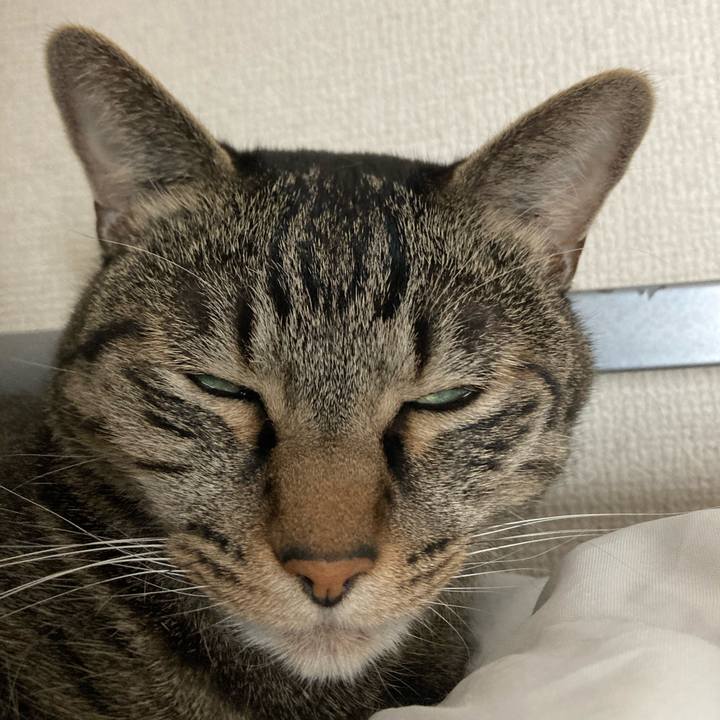 78f73e6f e250 4b01 98c5 f1593c56f209 1663830636130