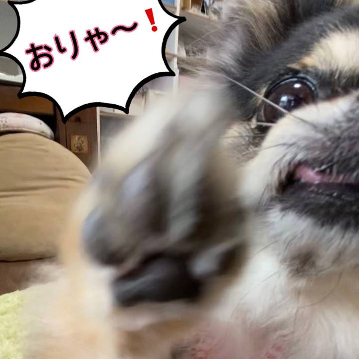 78f77164 5b1a 49e2 8237 3dfe2372eeaf 1652161053703