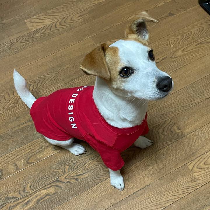 78f77626 47b7 4e65 95c8 6fda1fe8e8b3 1611824193895