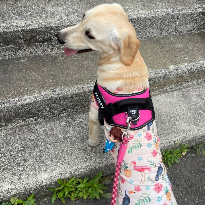 78f77bd1 68af 4f76 b645 78ee3201ce5e 1622635444400