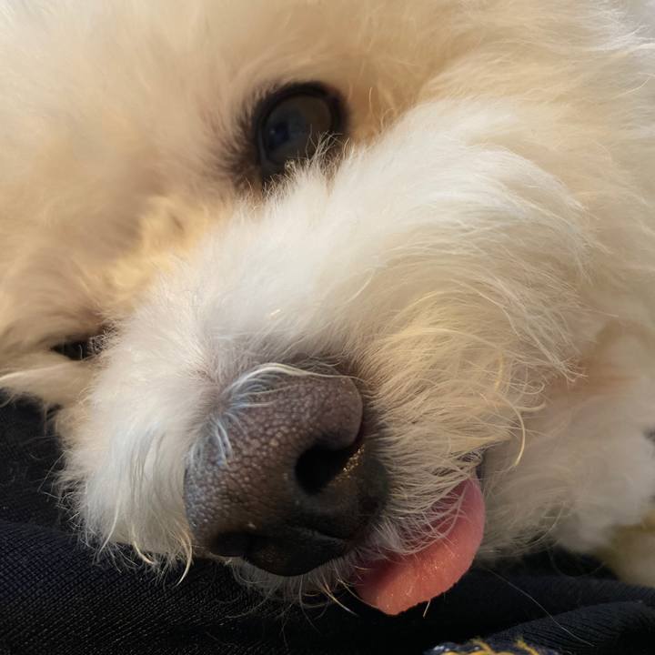 78f79501 7aaa 4d48 8c16 059bc17db69c 1623801052044