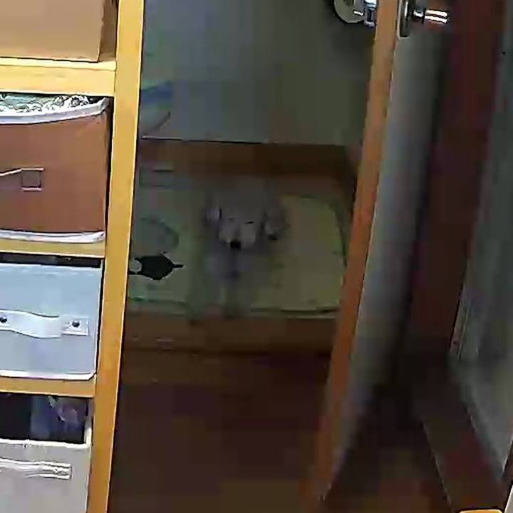 78f7d4dd 9b75 4286 92ed bd9a15af0964 1628134426524