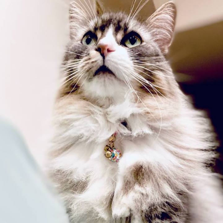 78f7f1bc 0baa 462b af4e a672ca7813ed 1765640084808