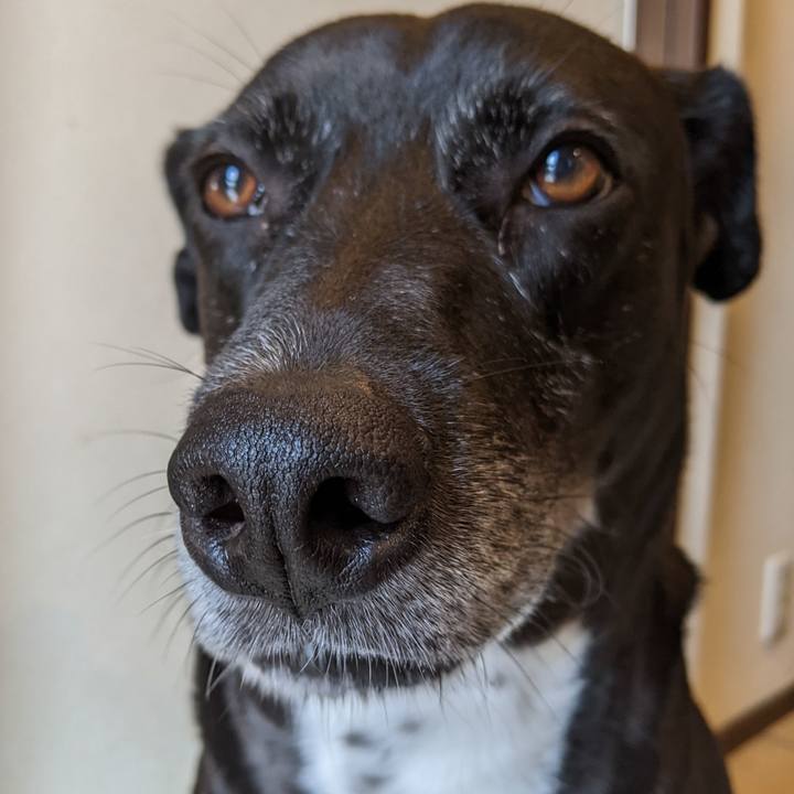 78f8132f 6ac4 42f9 a75e ce69835beb45 1697675462502